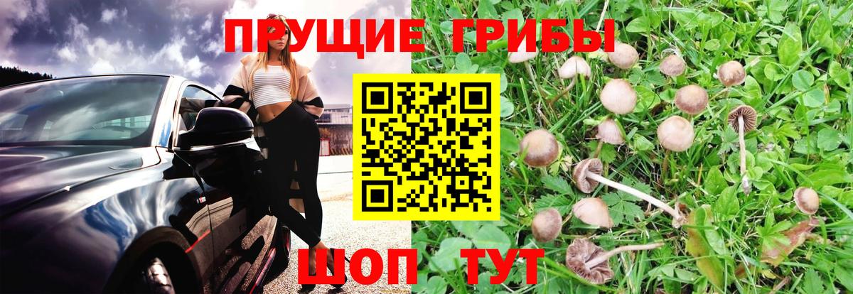 КОКАИН  Конопля  Вход с VPN  Гашиш  Раменское  Меф кристаллы  Метамфетамин  Экстази 